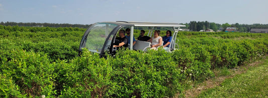 Visite gourmande - Visite guidée et dégustation du terroir